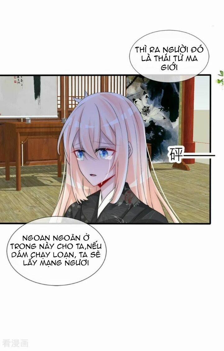 Kế Hoạch Sủng Ái Của Tiểu Công Chúa 72 trang 14