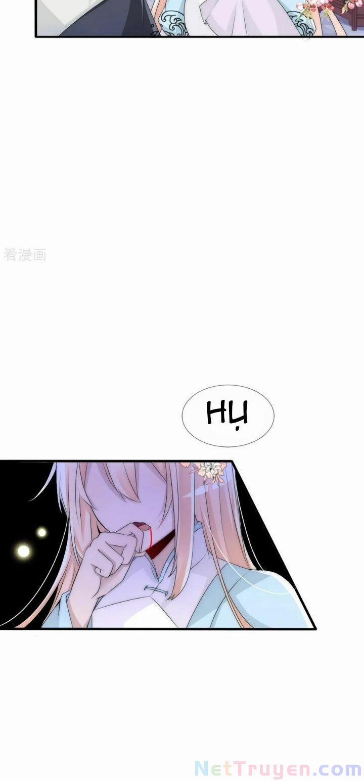 Kế Hoạch Sủng Ái Của Tiểu Công Chúa 78 trang 11