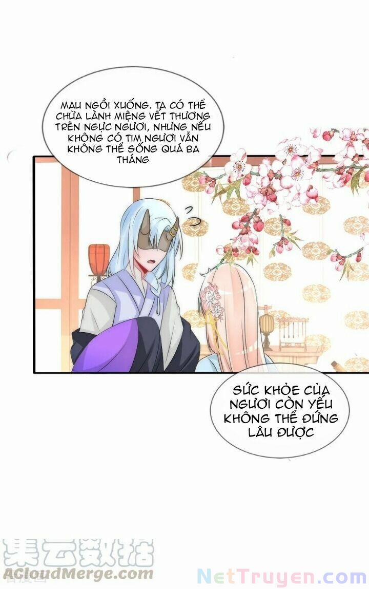 Kế Hoạch Sủng Ái Của Tiểu Công Chúa 78 trang 12