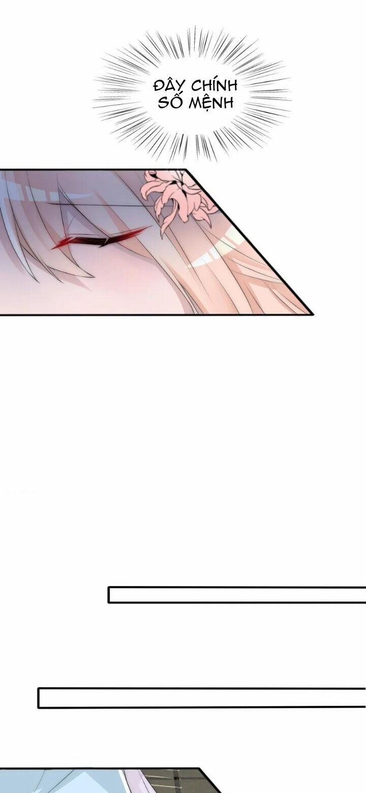 Kế Hoạch Sủng Ái Của Tiểu Công Chúa 79 trang 7