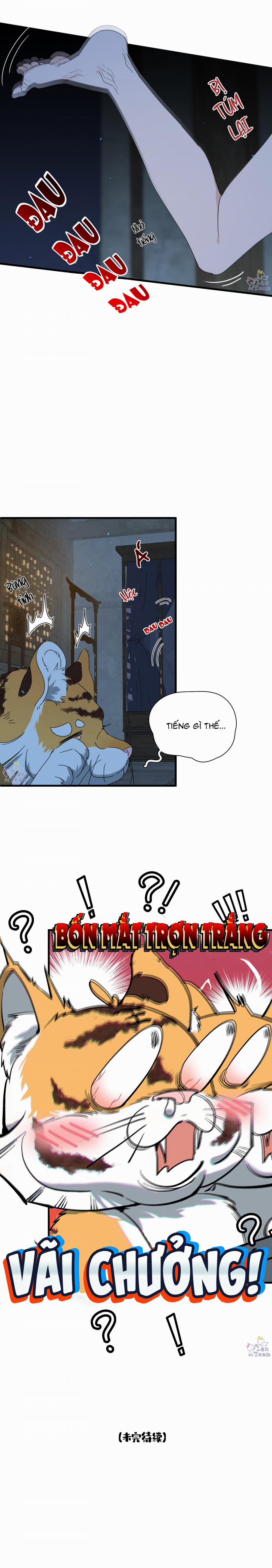 Kế Hoạch Tẩu Thoát 14 trang 7