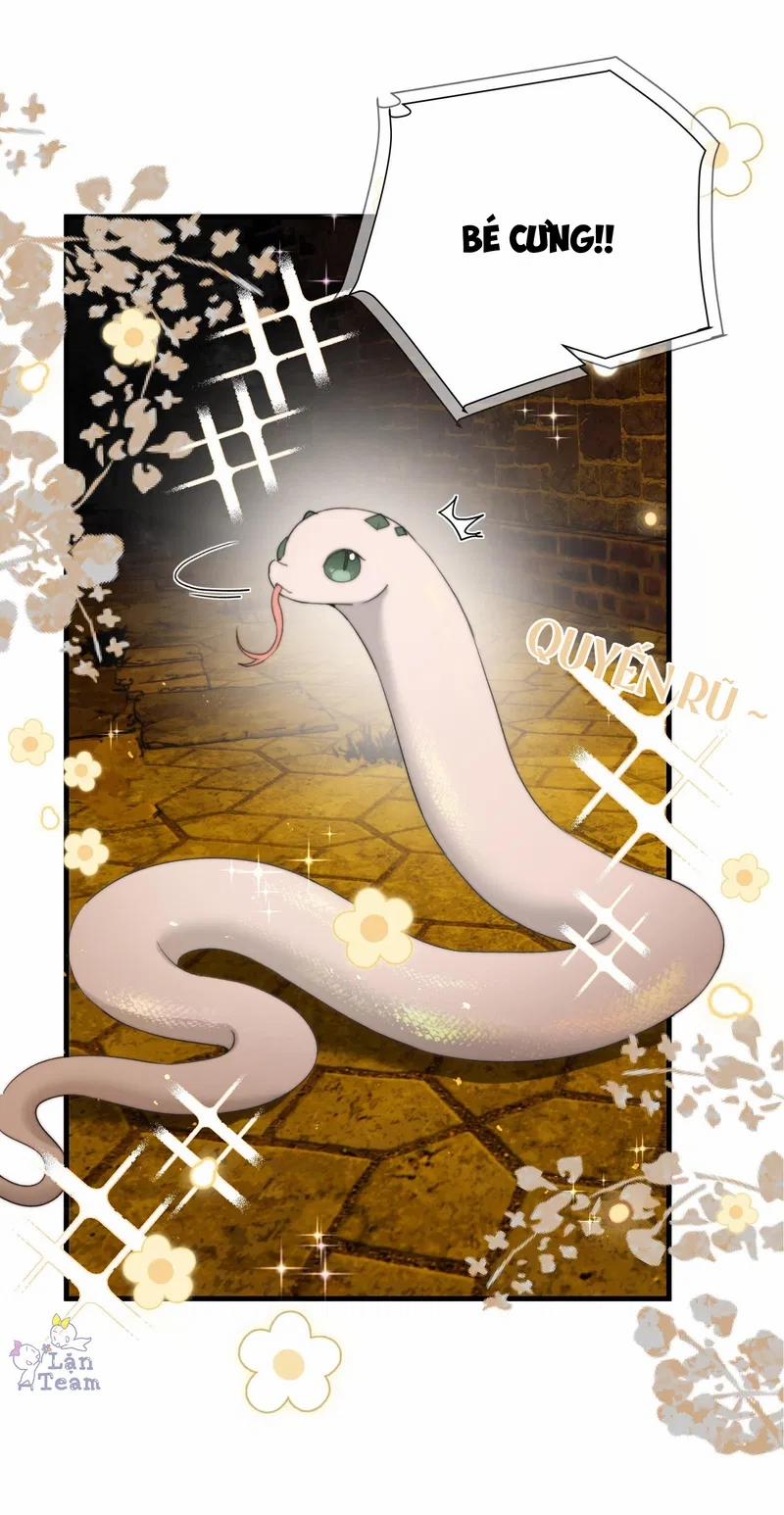 Kế Hoạch Tẩu Thoát 29 trang 21