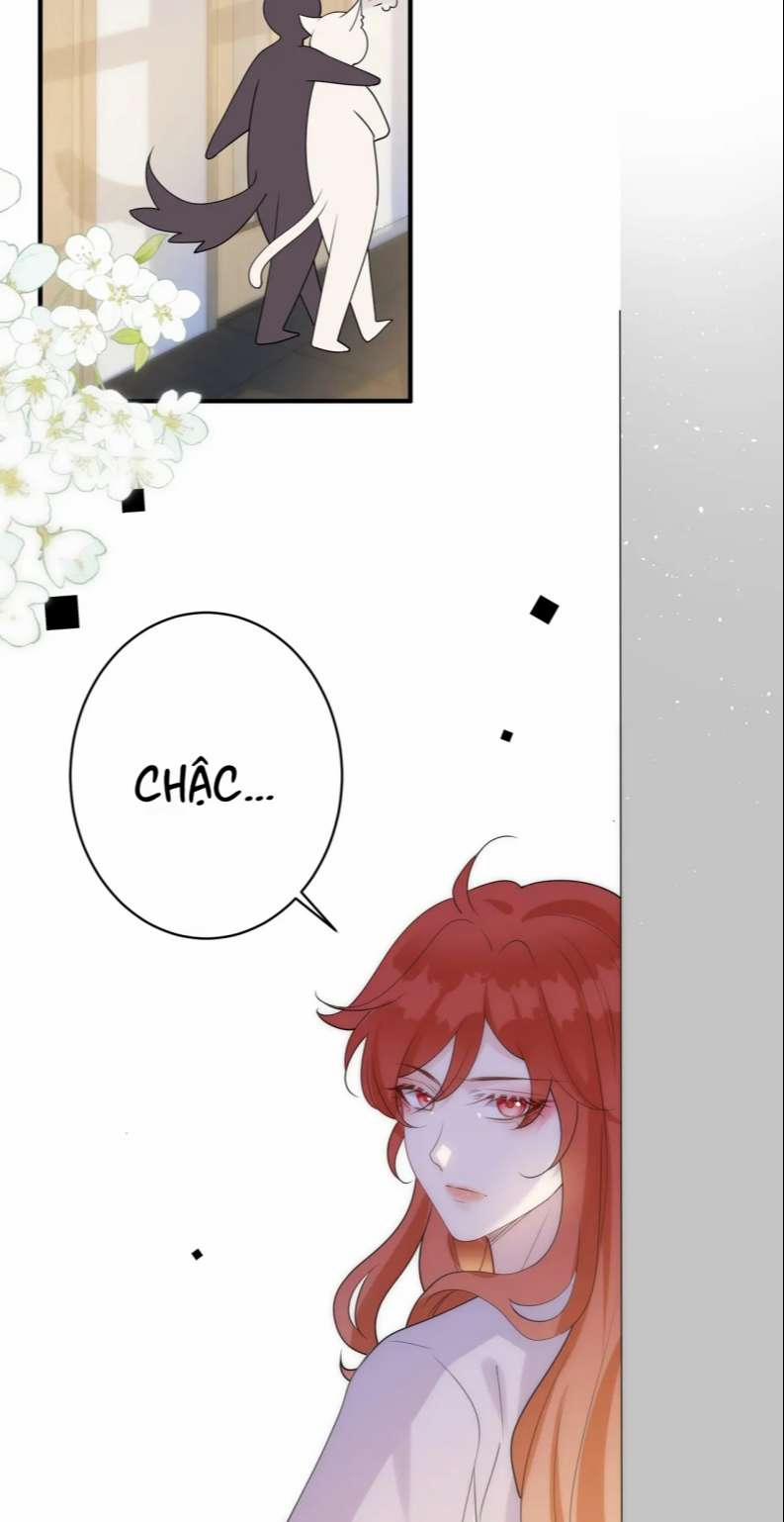 Kế Hoạch Tẩy Trắng Hắc Nguyệt Quang 57 trang 13