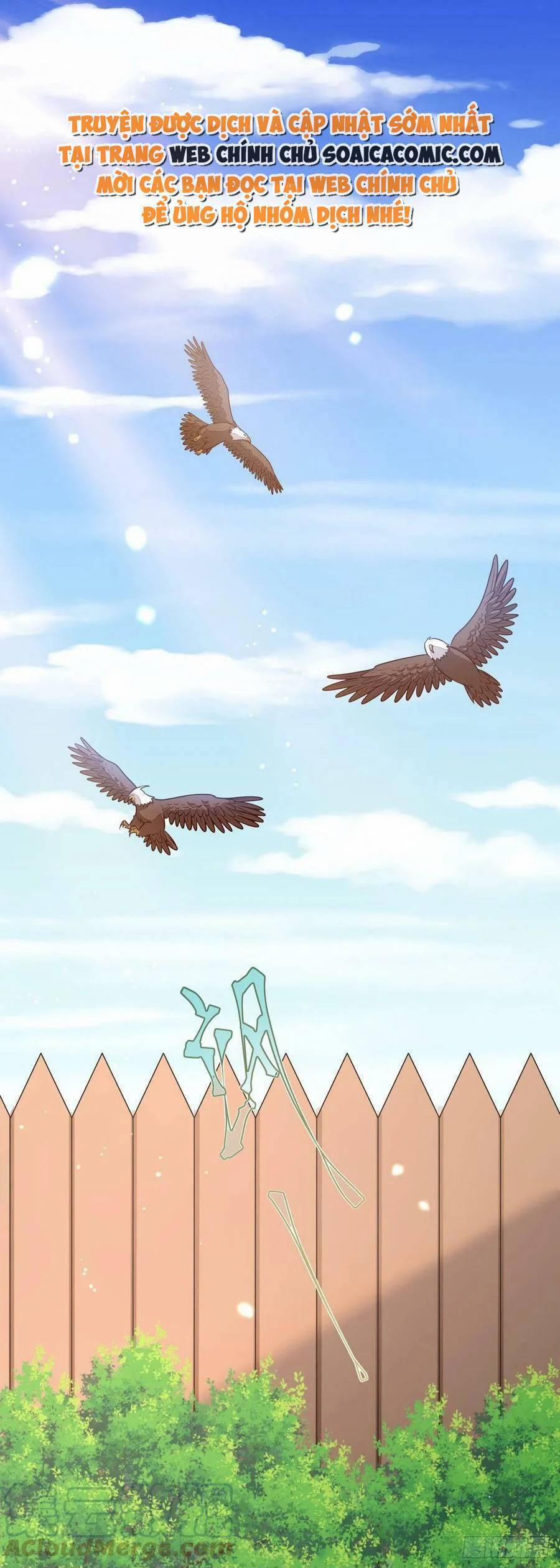 Kế Hoạch Thuần Phục Thú Phu Kiêu Ngạo 31 trang 0