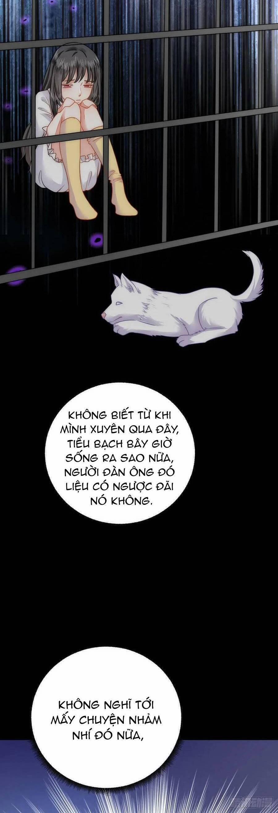 Kế Hoạch Thuần Phục Thú Phu Kiêu Ngạo 31 trang 11