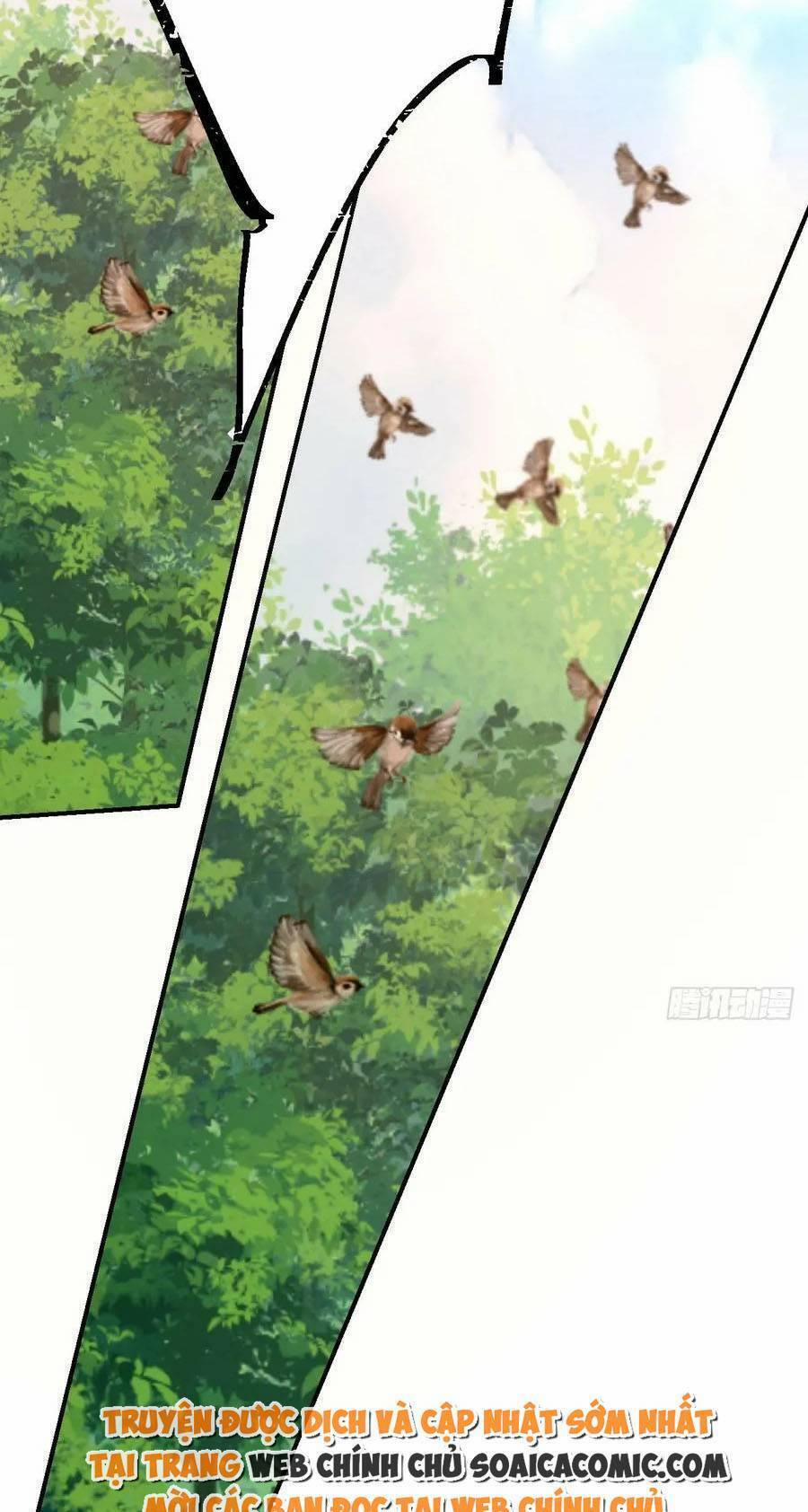 Kế Hoạch Thuần Phục Thú Phu Kiêu Ngạo 31 trang 38