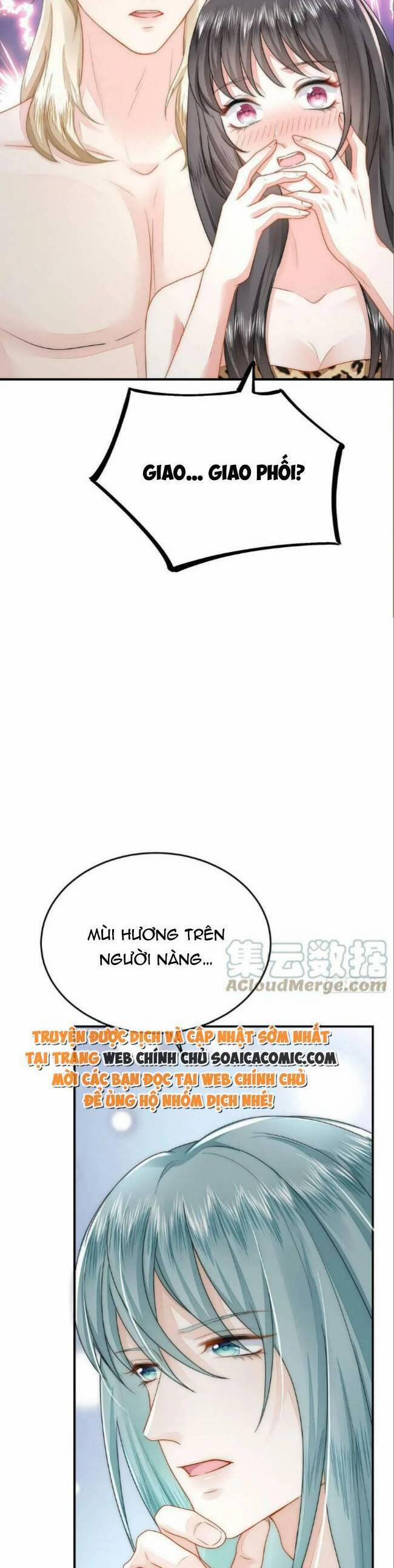 Kế Hoạch Thuần Phục Thú Phu Kiêu Ngạo 38 trang 16