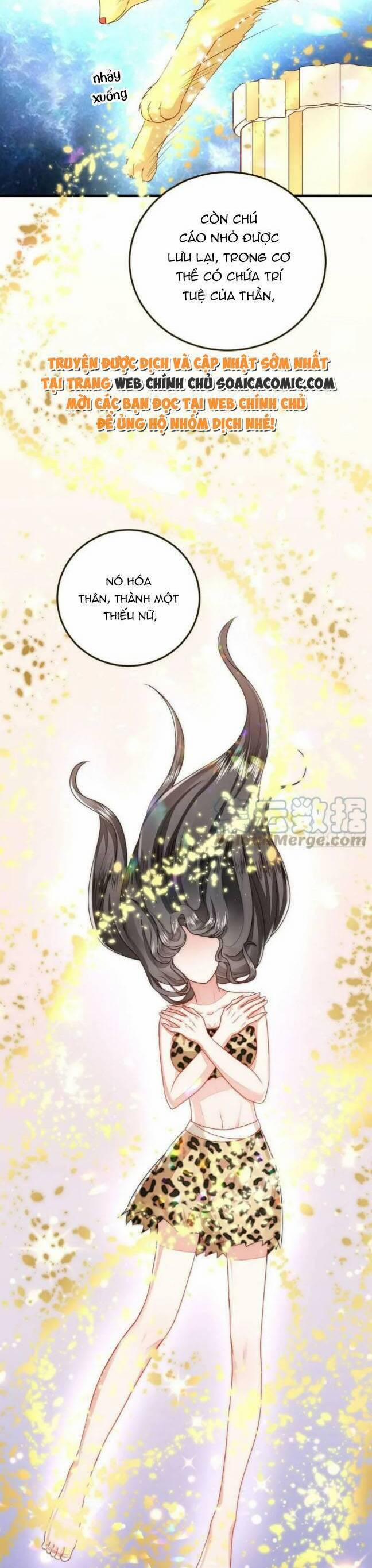 Kế Hoạch Thuần Phục Thú Phu Kiêu Ngạo 40 trang 14