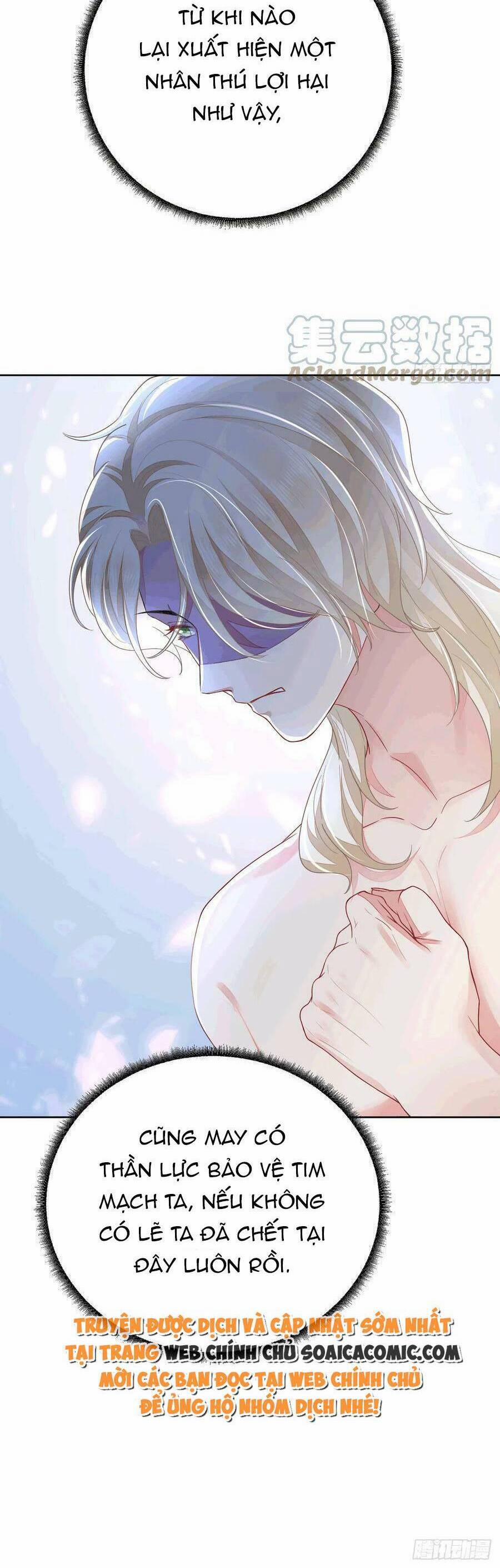 Kế Hoạch Thuần Phục Thú Phu Kiêu Ngạo 52 trang 5