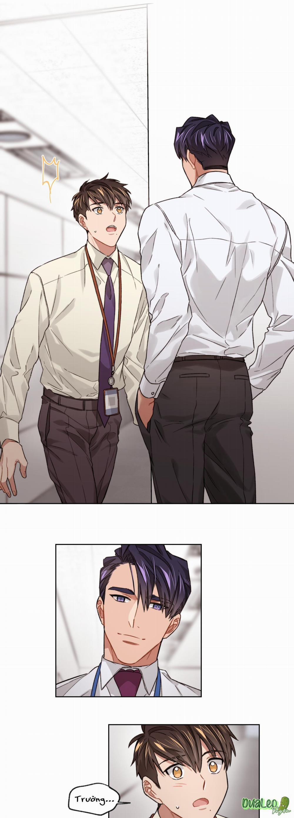 Kế hoạch tồi tệ 12 trang 16