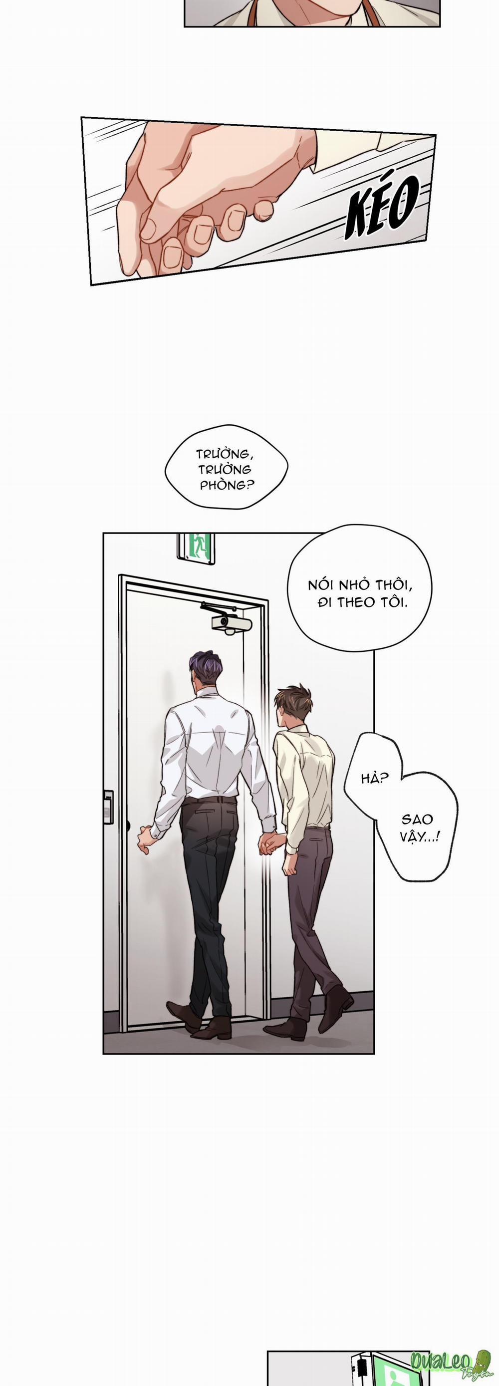 Kế hoạch tồi tệ 12 trang 17