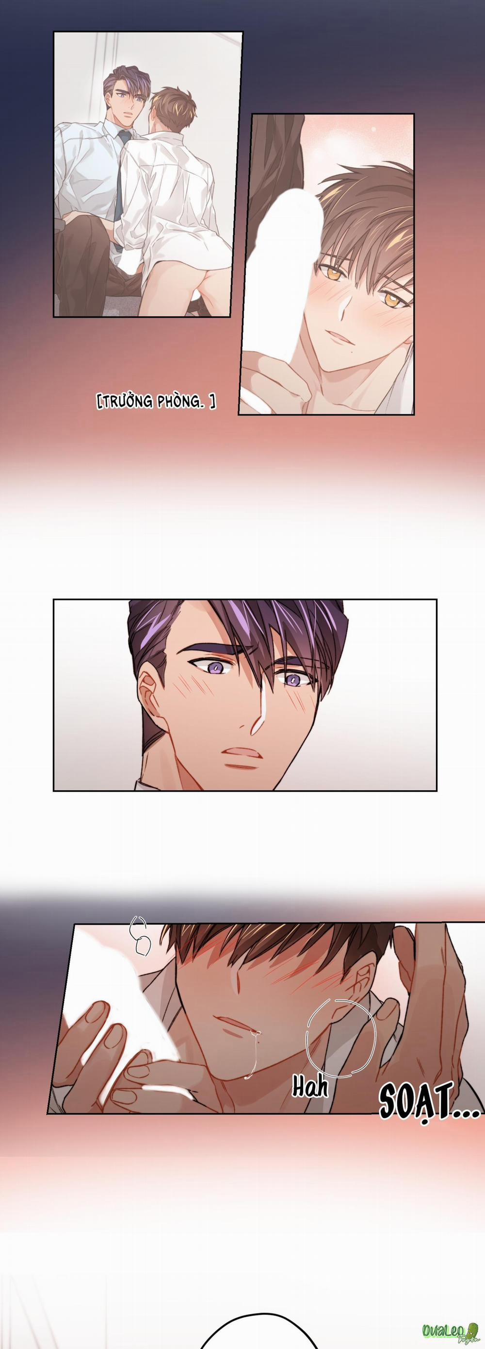 Kế hoạch tồi tệ 13 trang 8