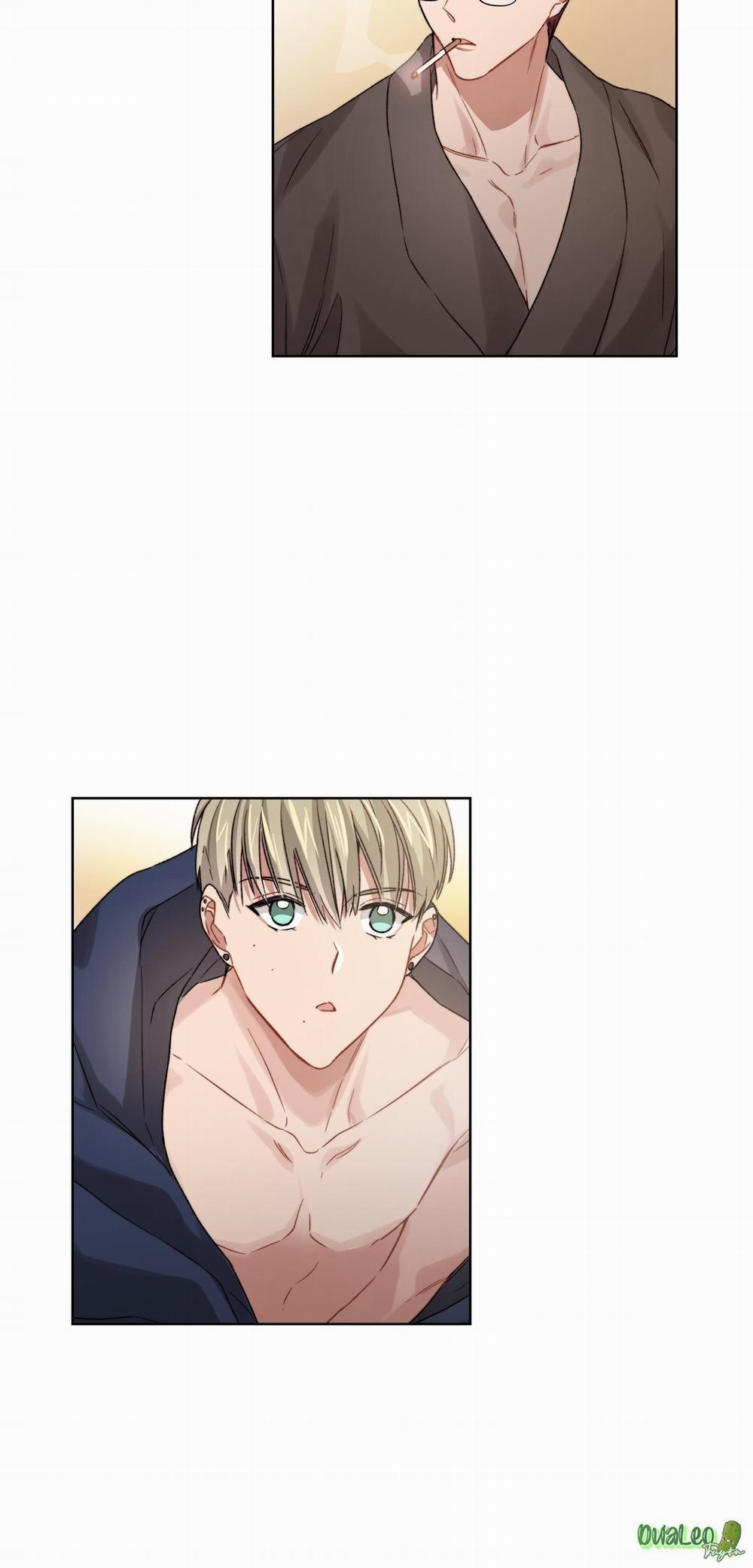 Kế hoạch tồi tệ 14 trang 5