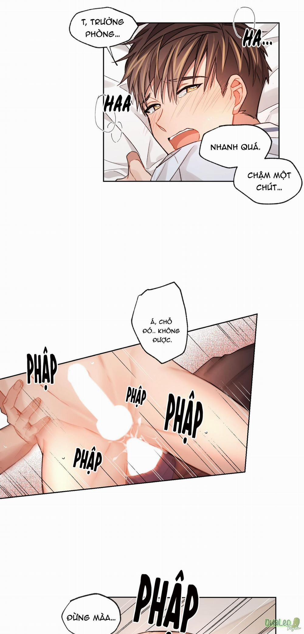 Kế hoạch tồi tệ 24 trang 12