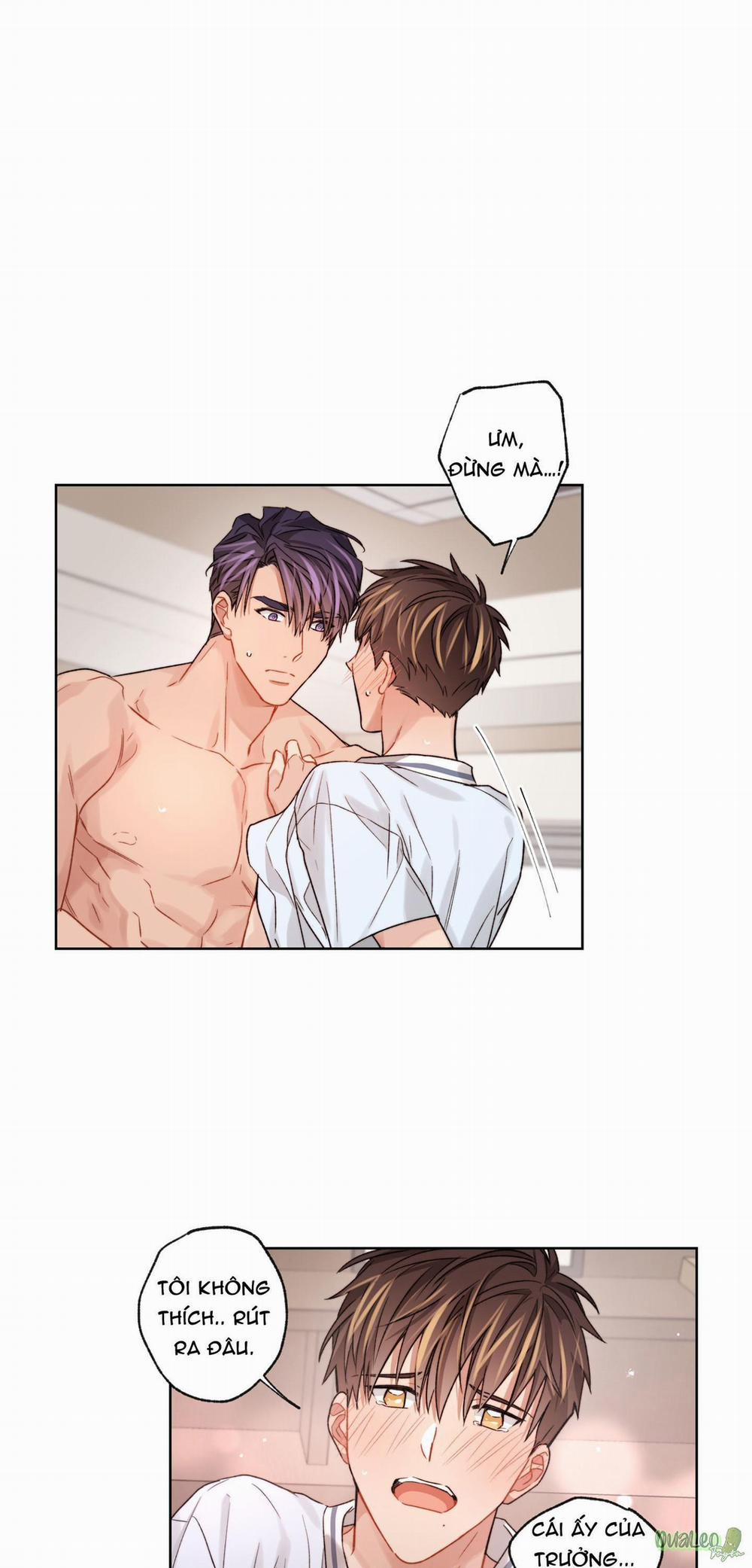 Kế hoạch tồi tệ 24 trang 7