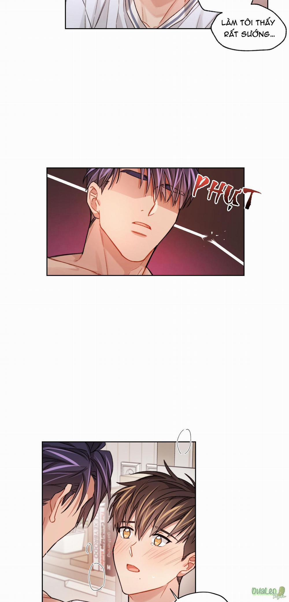 Kế hoạch tồi tệ 24 trang 8