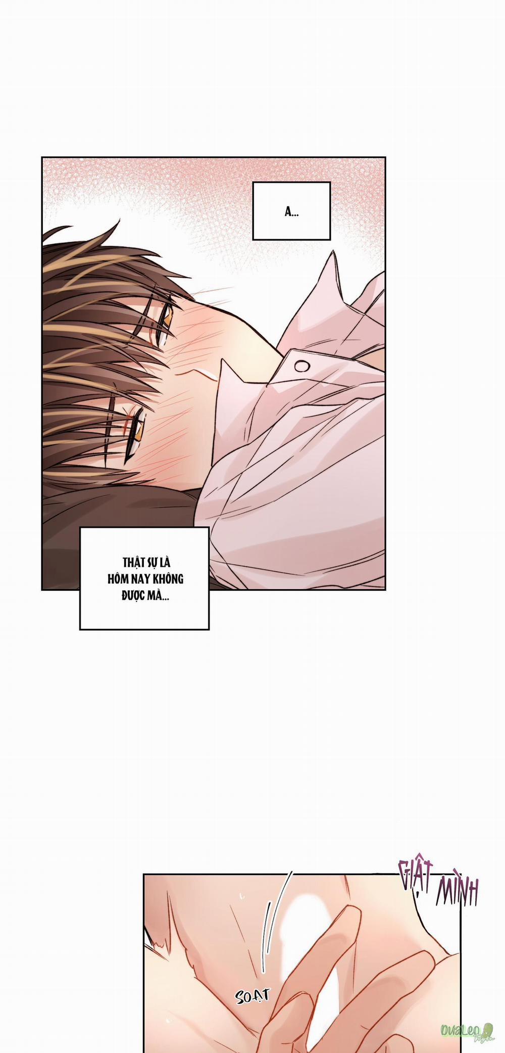 Kế hoạch tồi tệ 26 trang 16