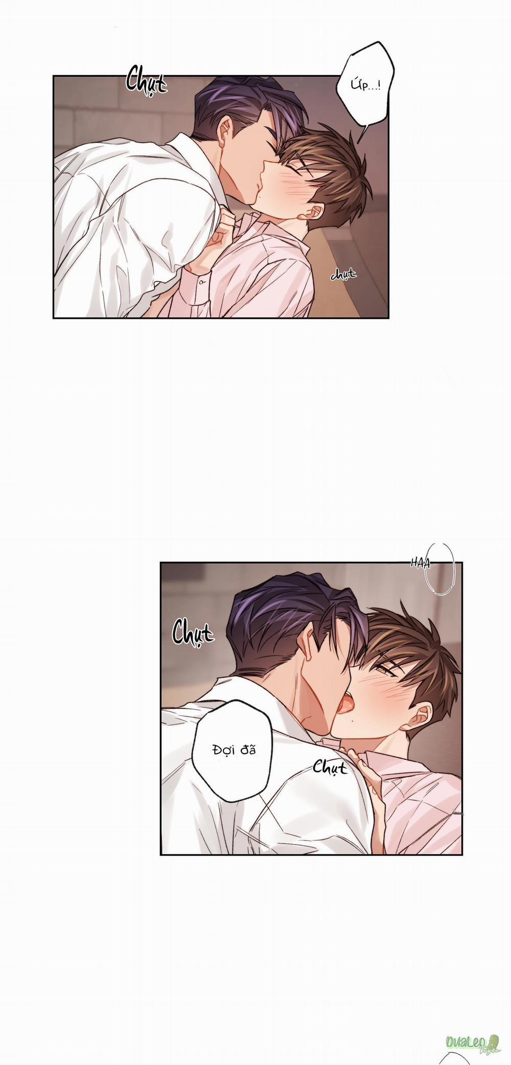 Kế hoạch tồi tệ 26 trang 7