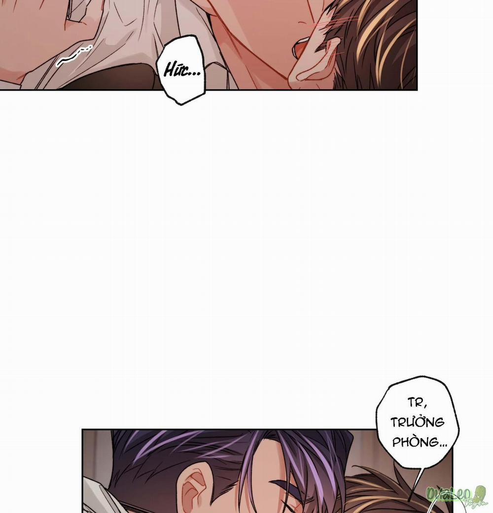 Kế hoạch tồi tệ 31 trang 25