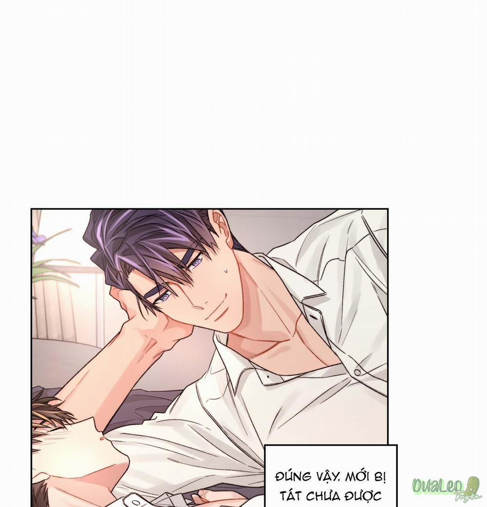 Kế hoạch tồi tệ 32 trang 46