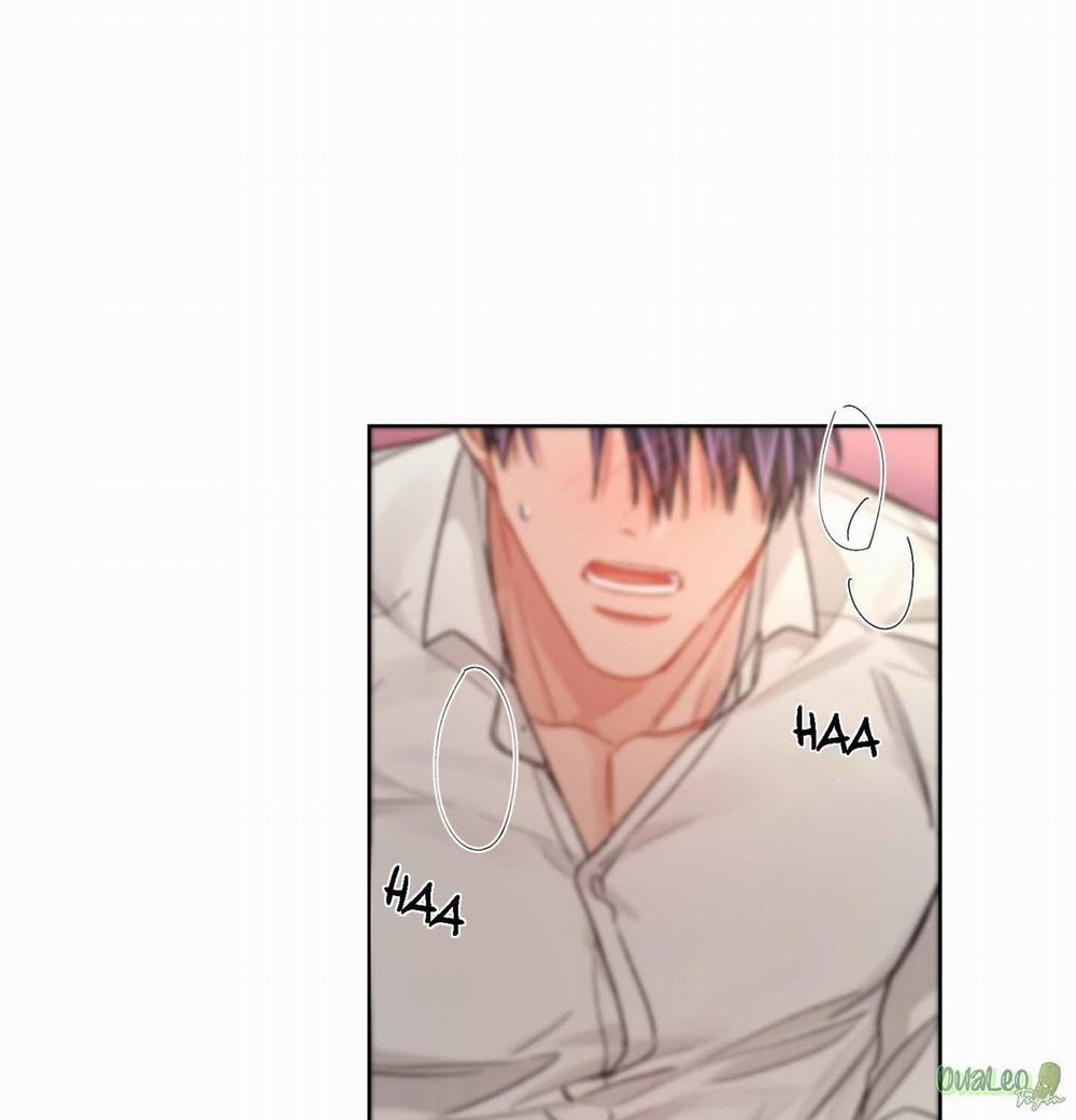 Kế hoạch tồi tệ 33 trang 25