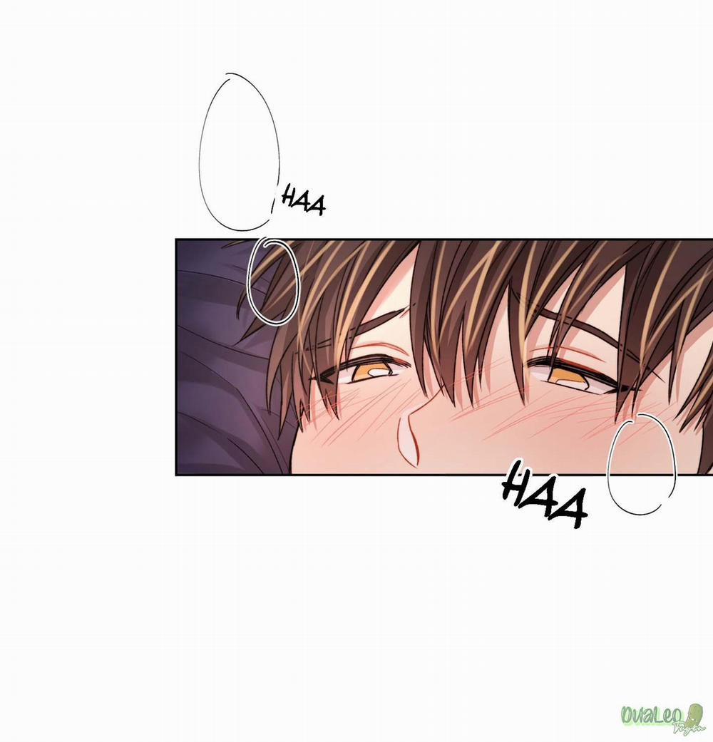 Kế hoạch tồi tệ 33 trang 61