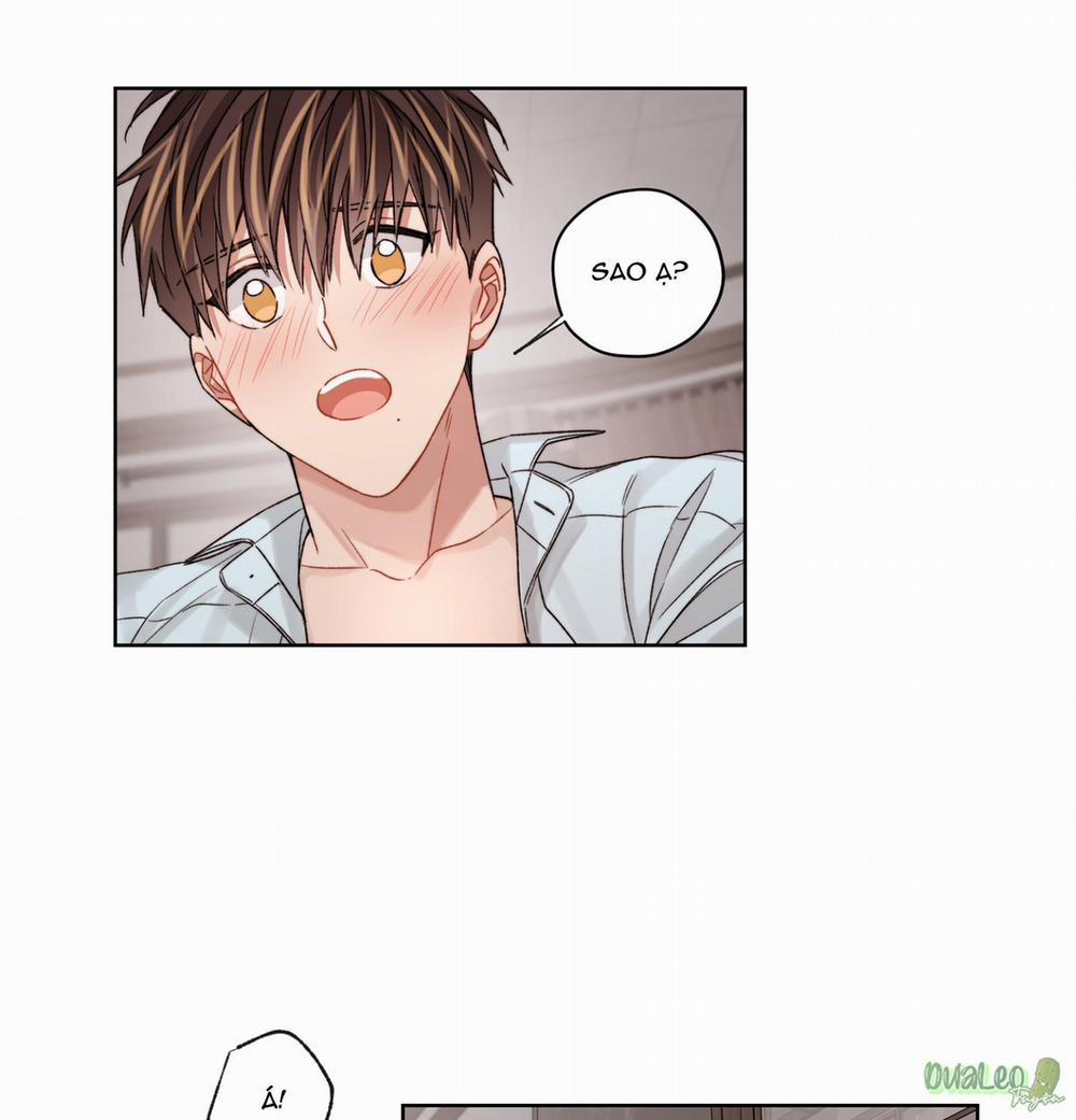 Kế hoạch tồi tệ 36 trang 19