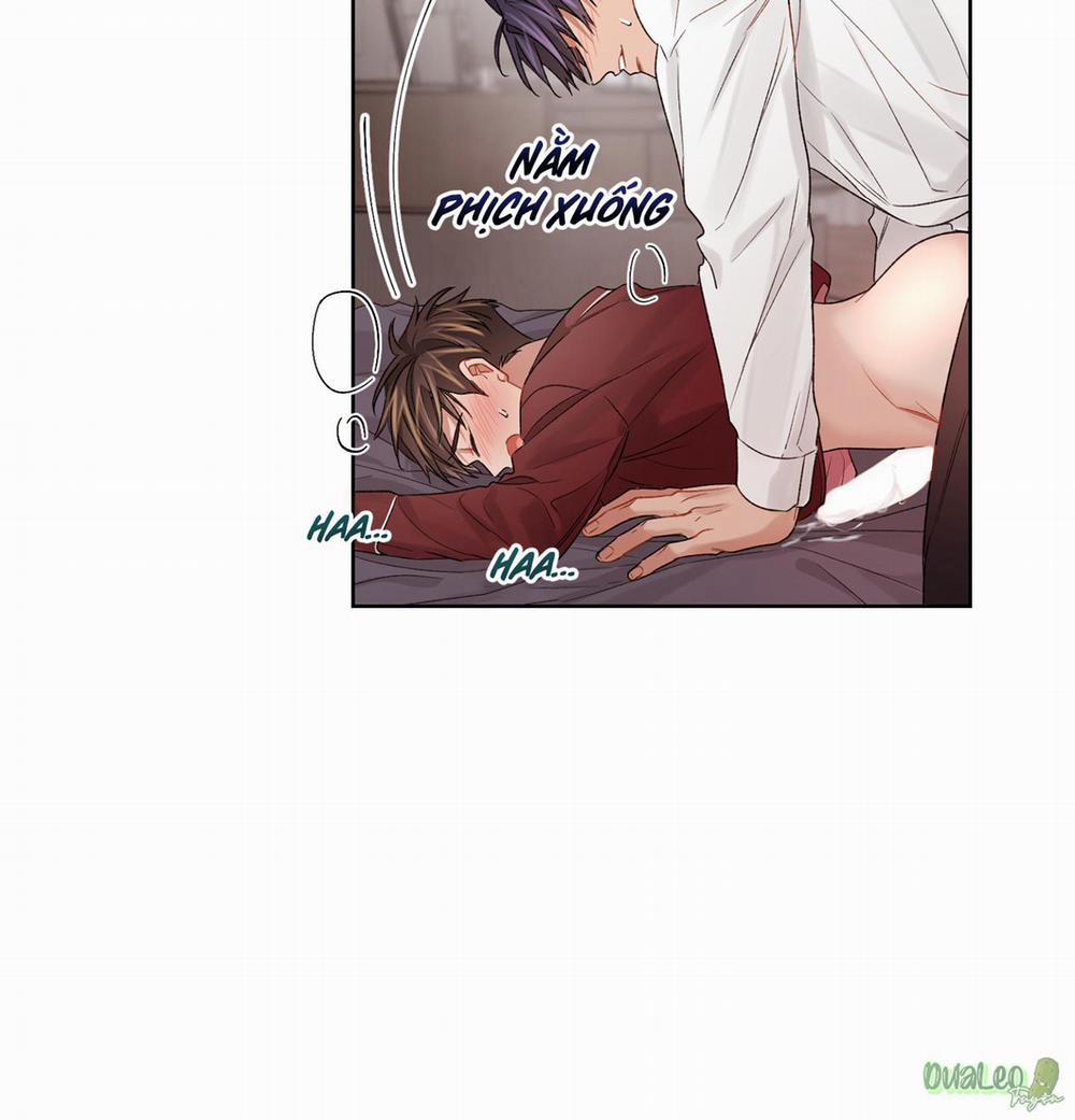 Kế hoạch tồi tệ 36 trang 41