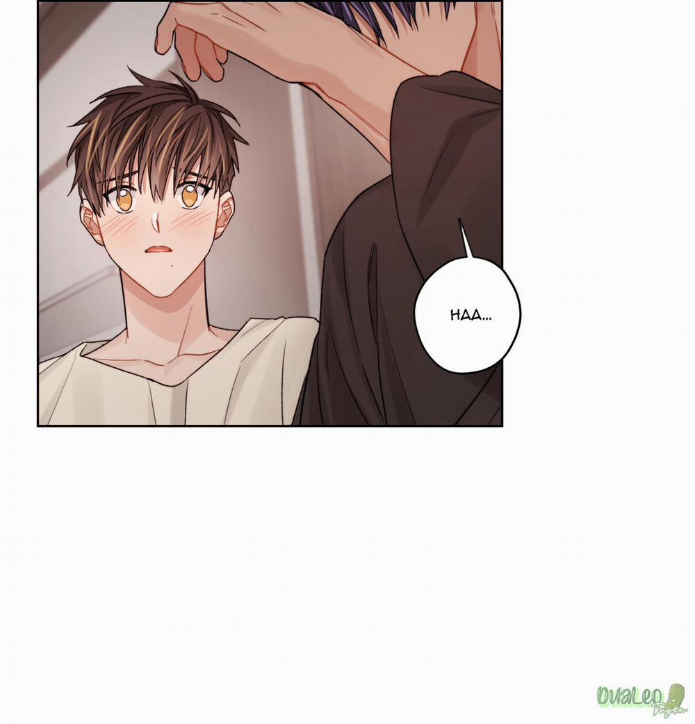 Kế hoạch tồi tệ 37 trang 57