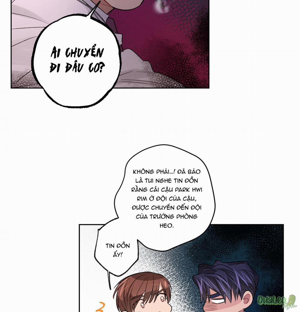 Kế hoạch tồi tệ 38 trang 14