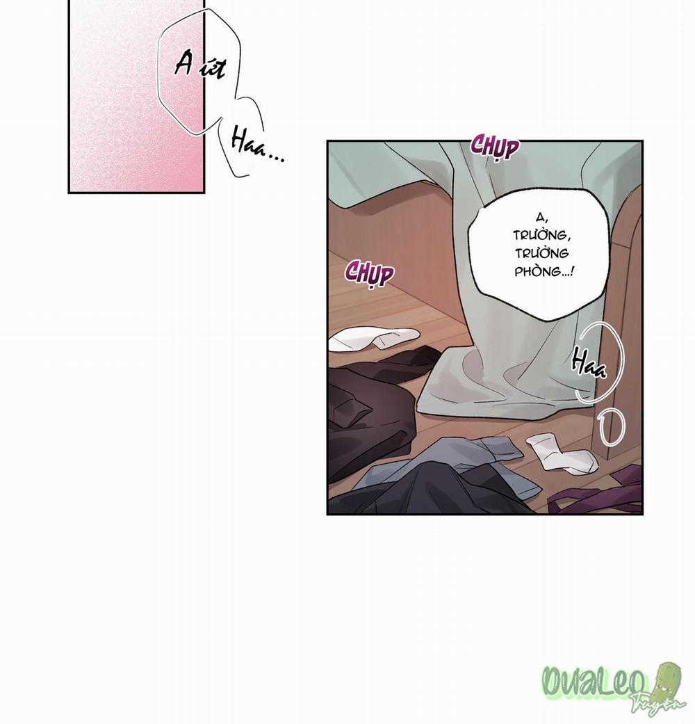 Kế hoạch tồi tệ 48 trang 1