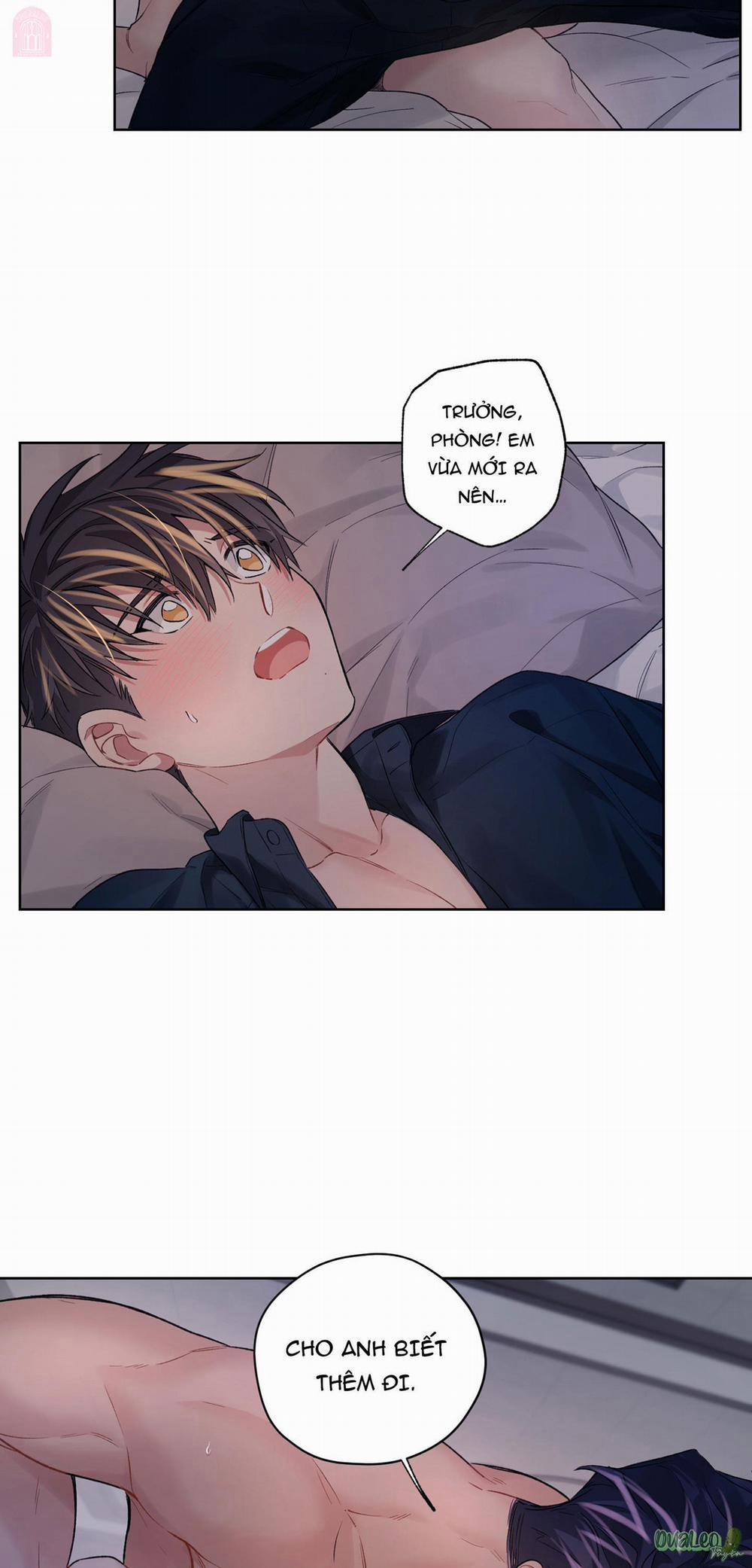 Kế hoạch tồi tệ 50.2 Smeraldo (không trang 33