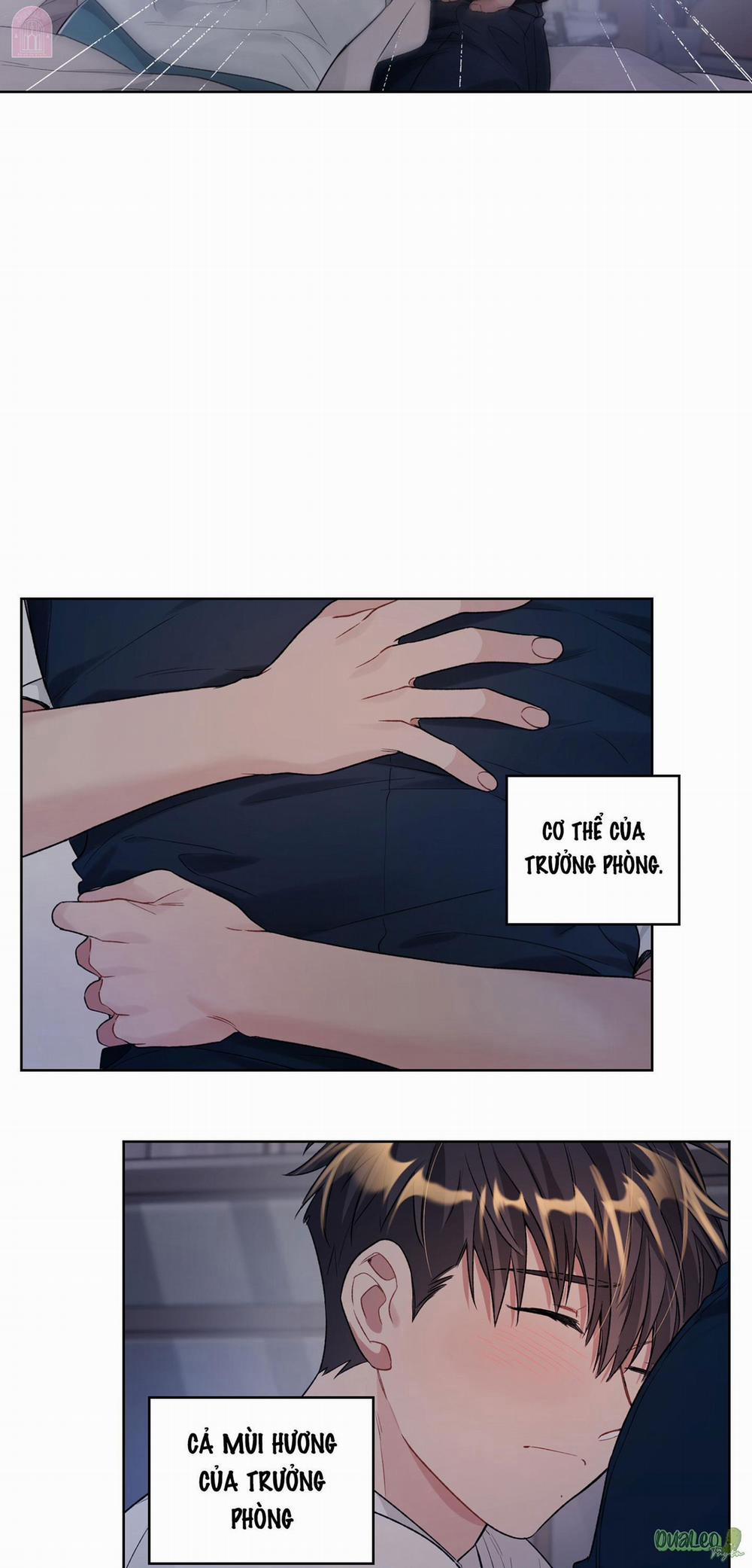 Kế hoạch tồi tệ 50.2 Smeraldo (không trang 6