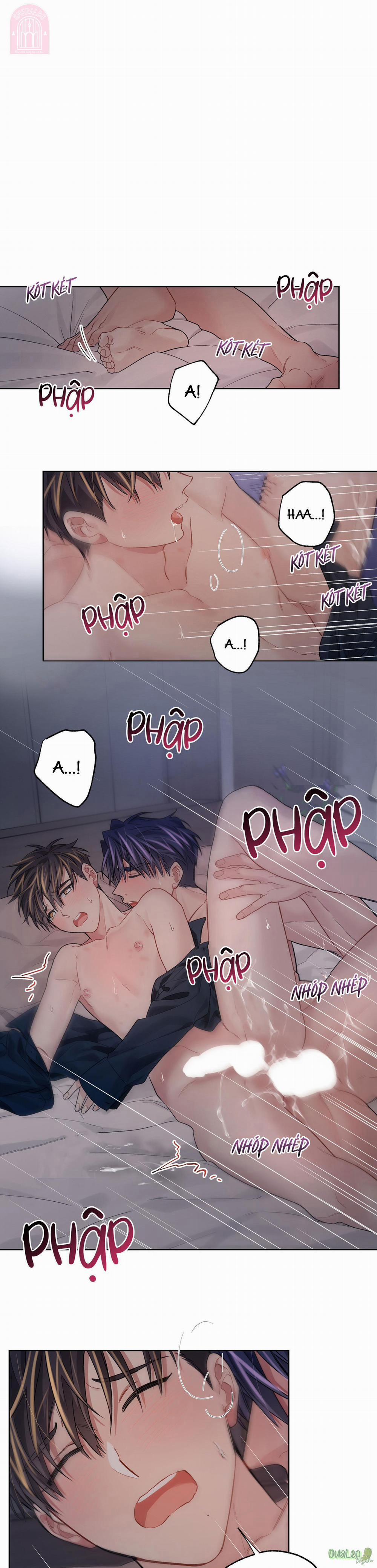 Kế hoạch tồi tệ 50.3 Smeraldo (không trang 0