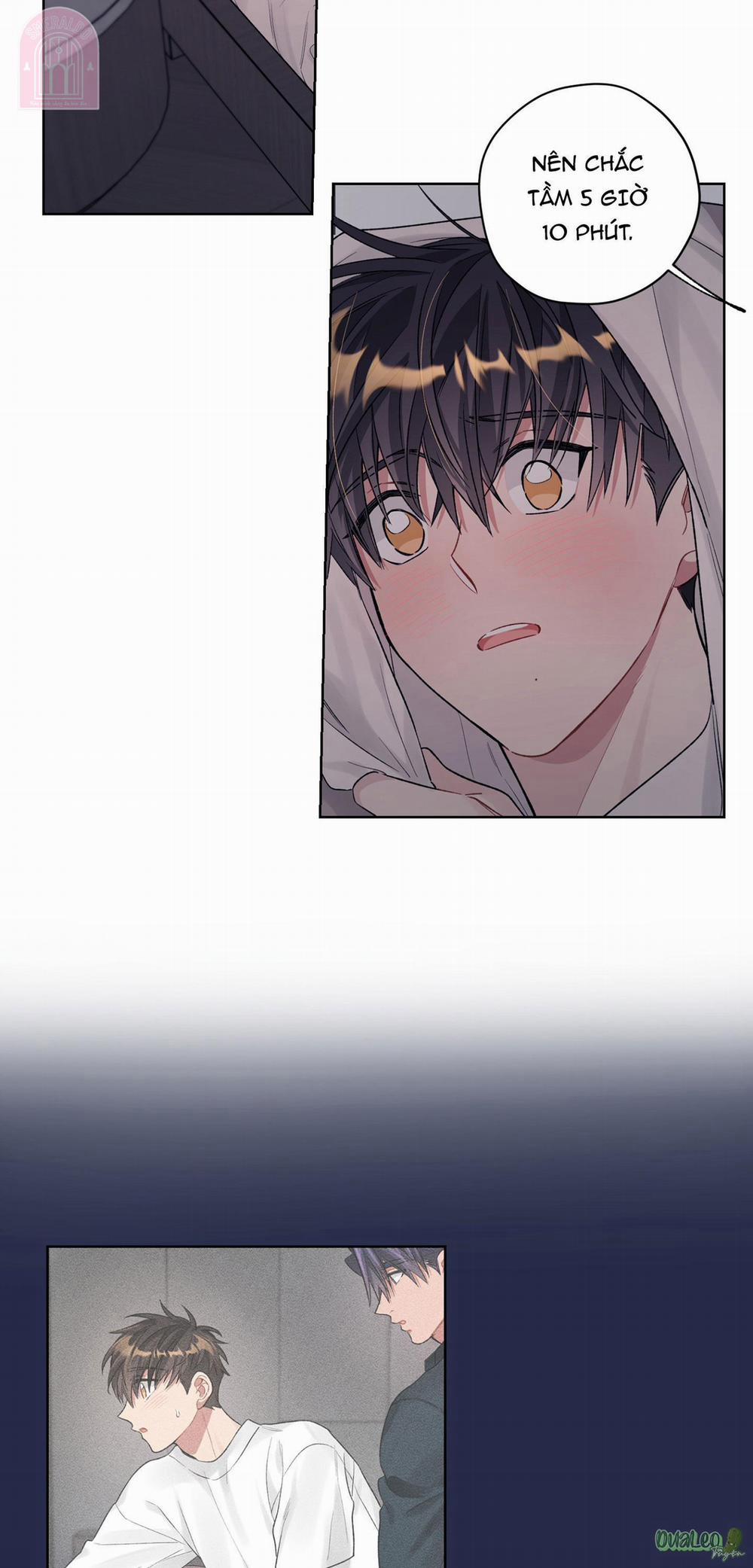 Kế hoạch tồi tệ 50.3 Smeraldo (không trang 16