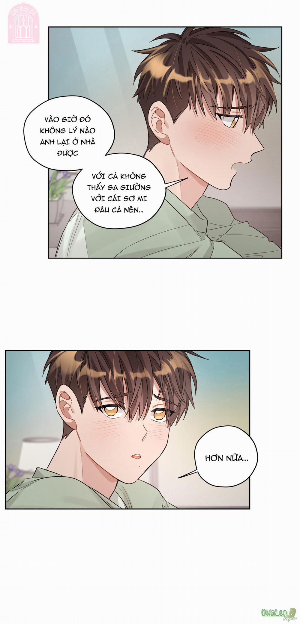 Kế hoạch tồi tệ 50.3 Smeraldo (không trang 21