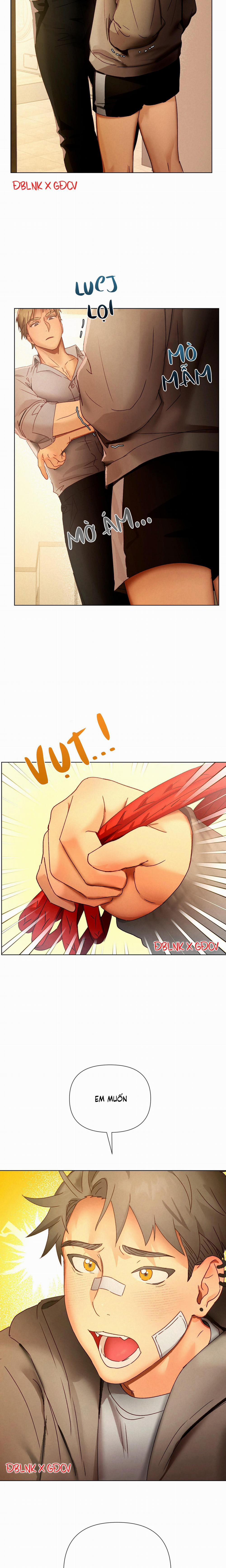 KẾ HOẠCH TRÁO ĐỔI USB CỦA TIỀN BỐI 3 H+ trang 15