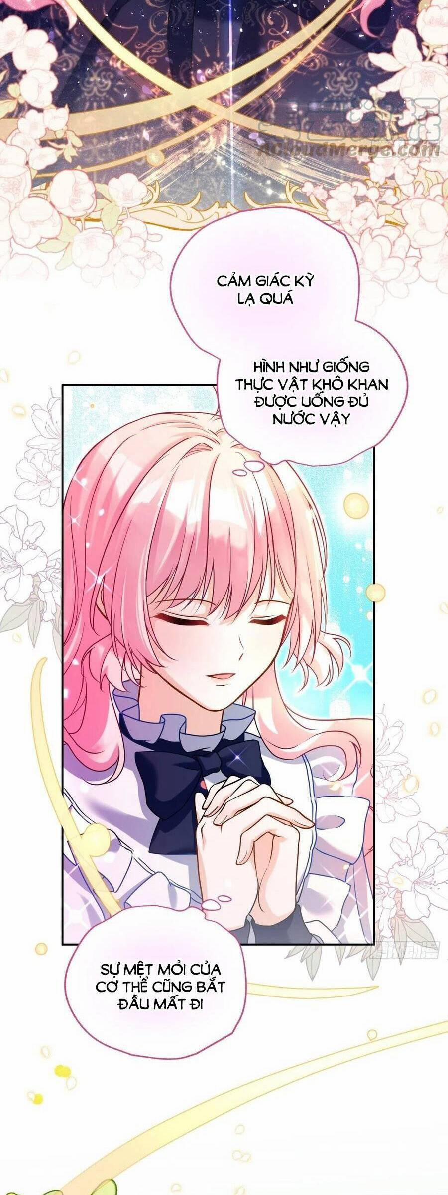 Kế Hoạch Tự Cứu Của Nữ Phù Thủy Phản Diện 122 trang 6