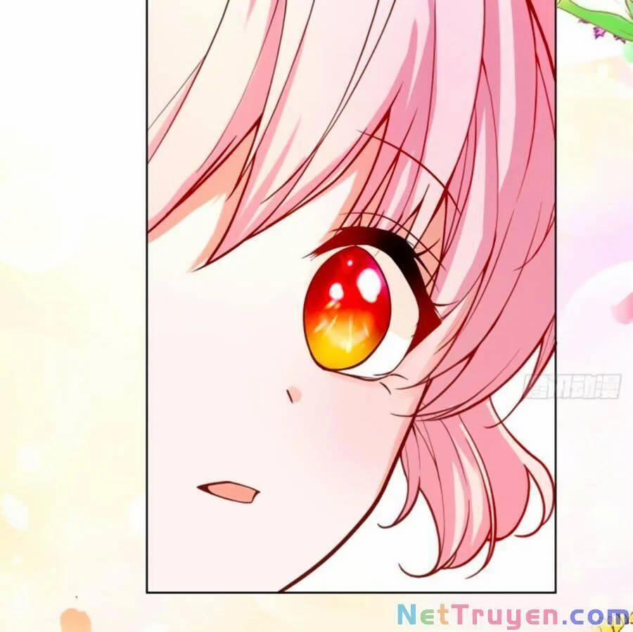 Kế Hoạch Tự Cứu Của Nữ Phù Thủy Phản Diện 20 trang 5