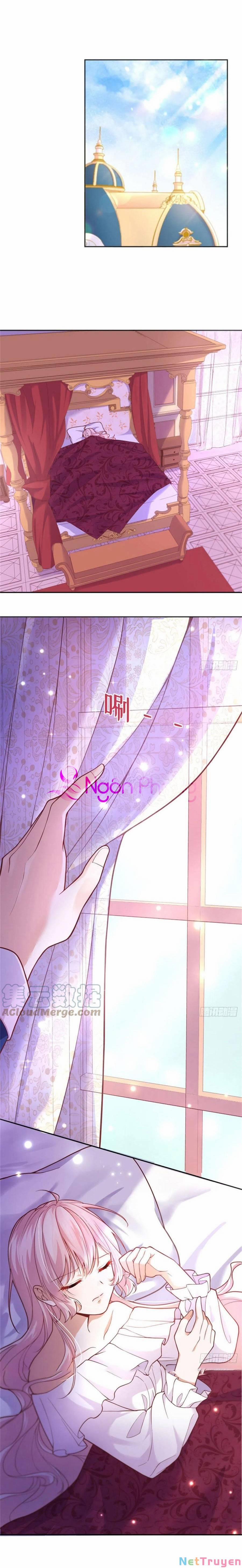 Kế Hoạch Tự Cứu Của Nữ Phù Thủy Phản Diện 92 trang 0