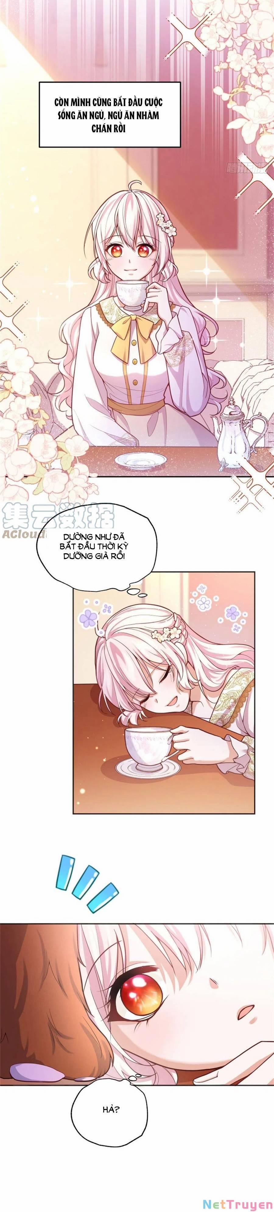 Kế Hoạch Tự Cứu Của Nữ Phù Thủy Phản Diện 92 trang 4