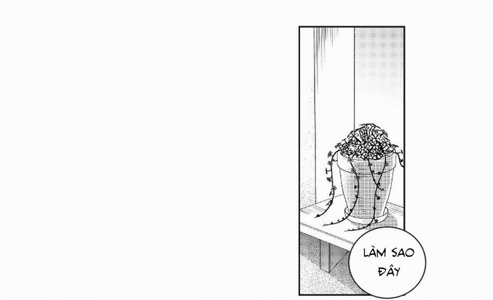 Kẻ lừa đảo ngọt ngào 1 trang 53