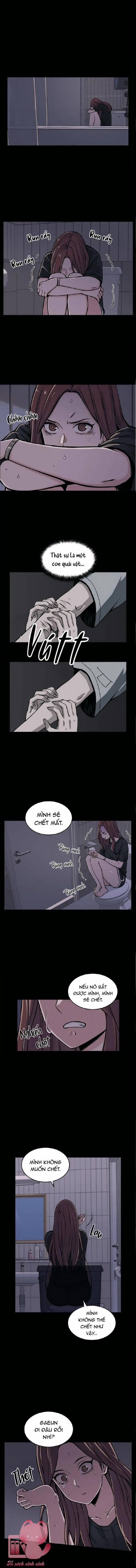 Kẻ Mạo Danh 5 trang 0