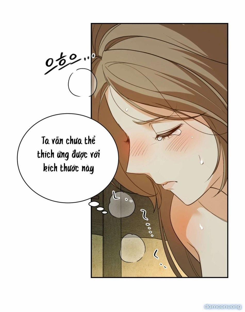 Kẻ Ngu Dốt 5 trang 5