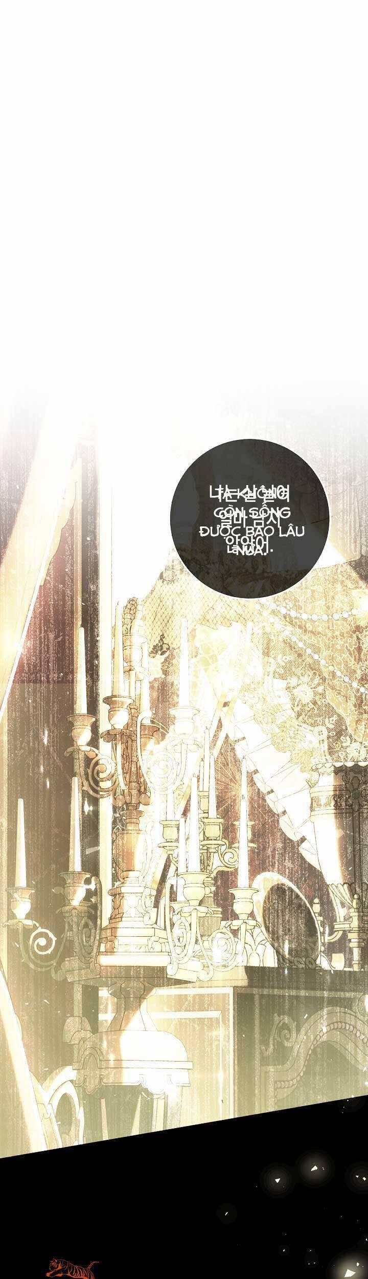 Kẻ Phản Diện Là Một Con Rối 61 trang 0