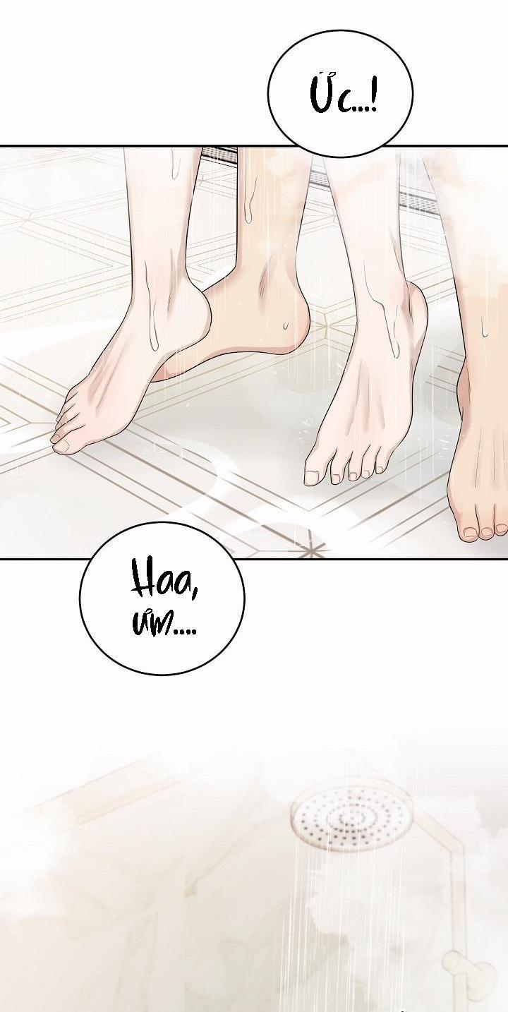 KẺ SƯU TẬP 12 trang 40