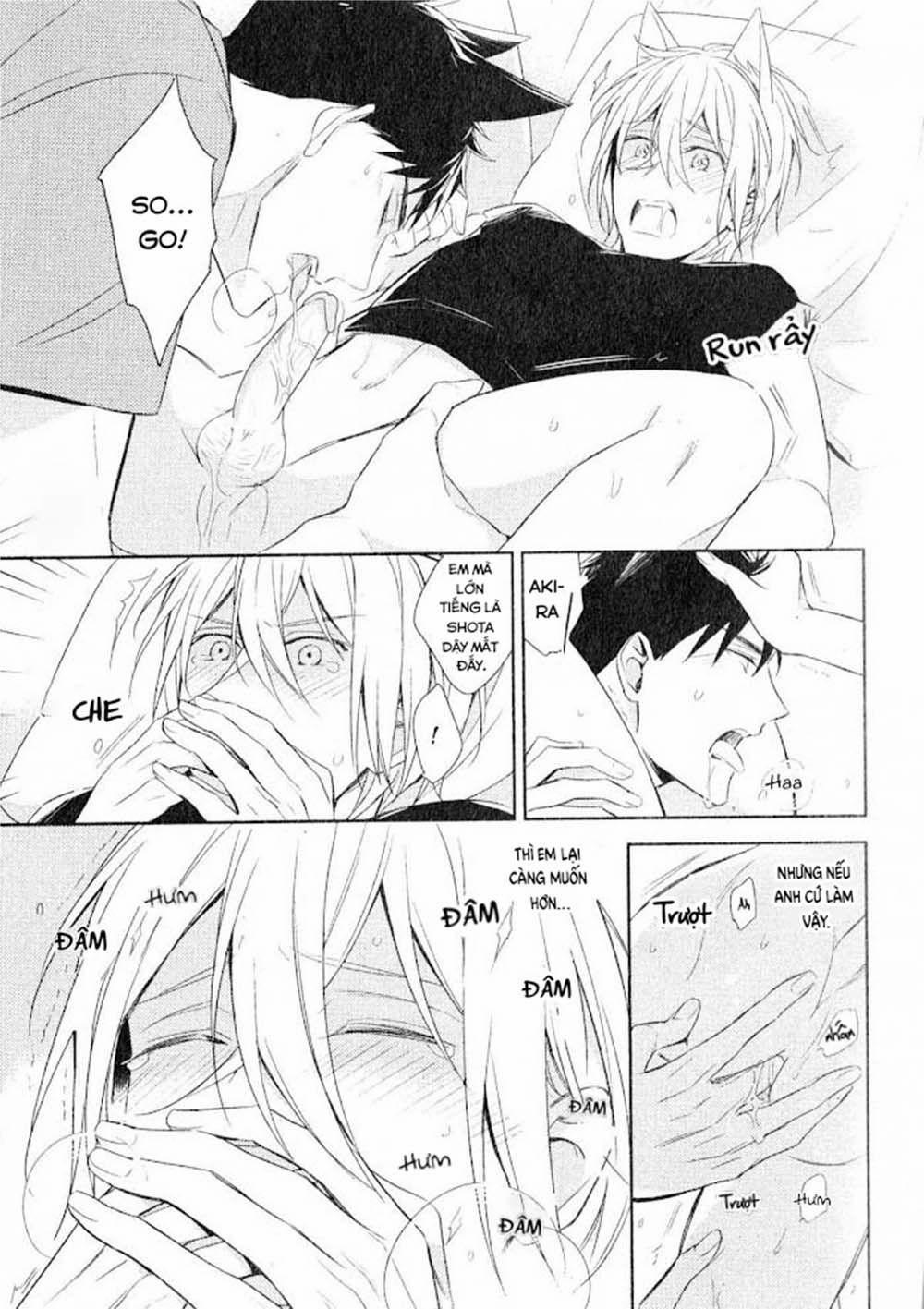 Kedamono Arashi 13 vol 3 trang 12