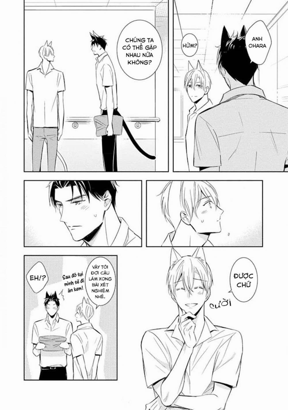 Kedamono Arashi 19 trang 14