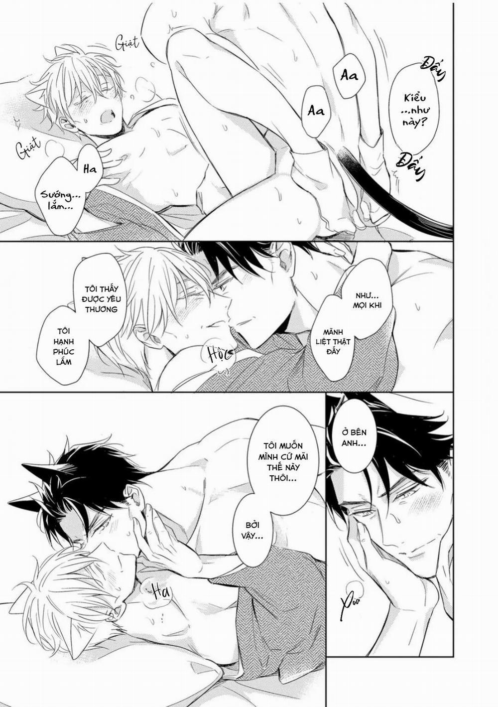 Kedamono Arashi 30 Vol 6 (H) trang 17