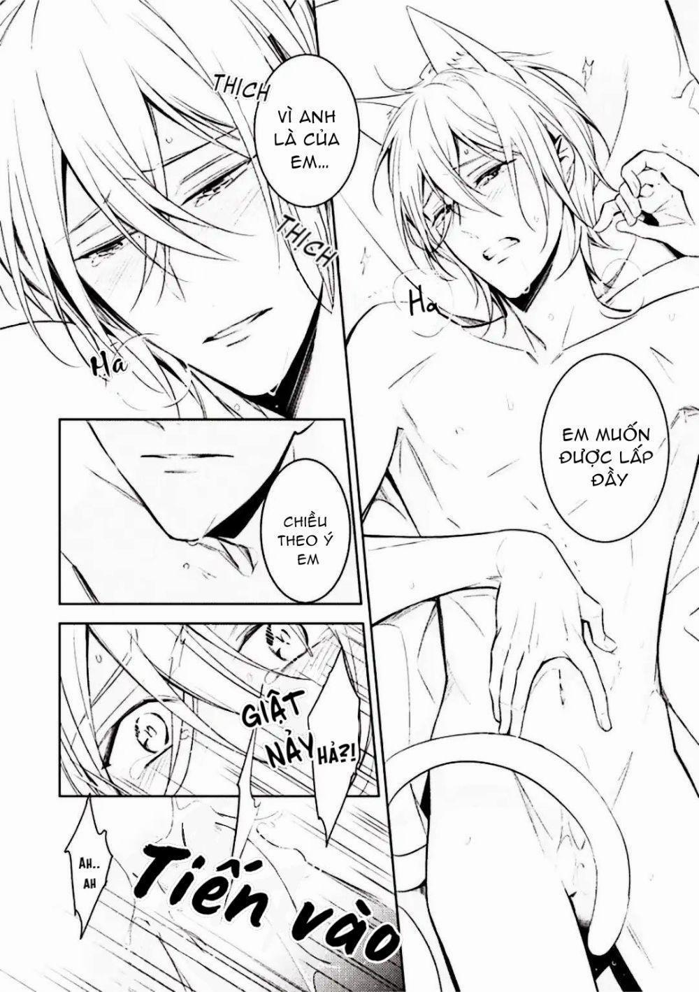 Kedamono Arashi 8 trang 33